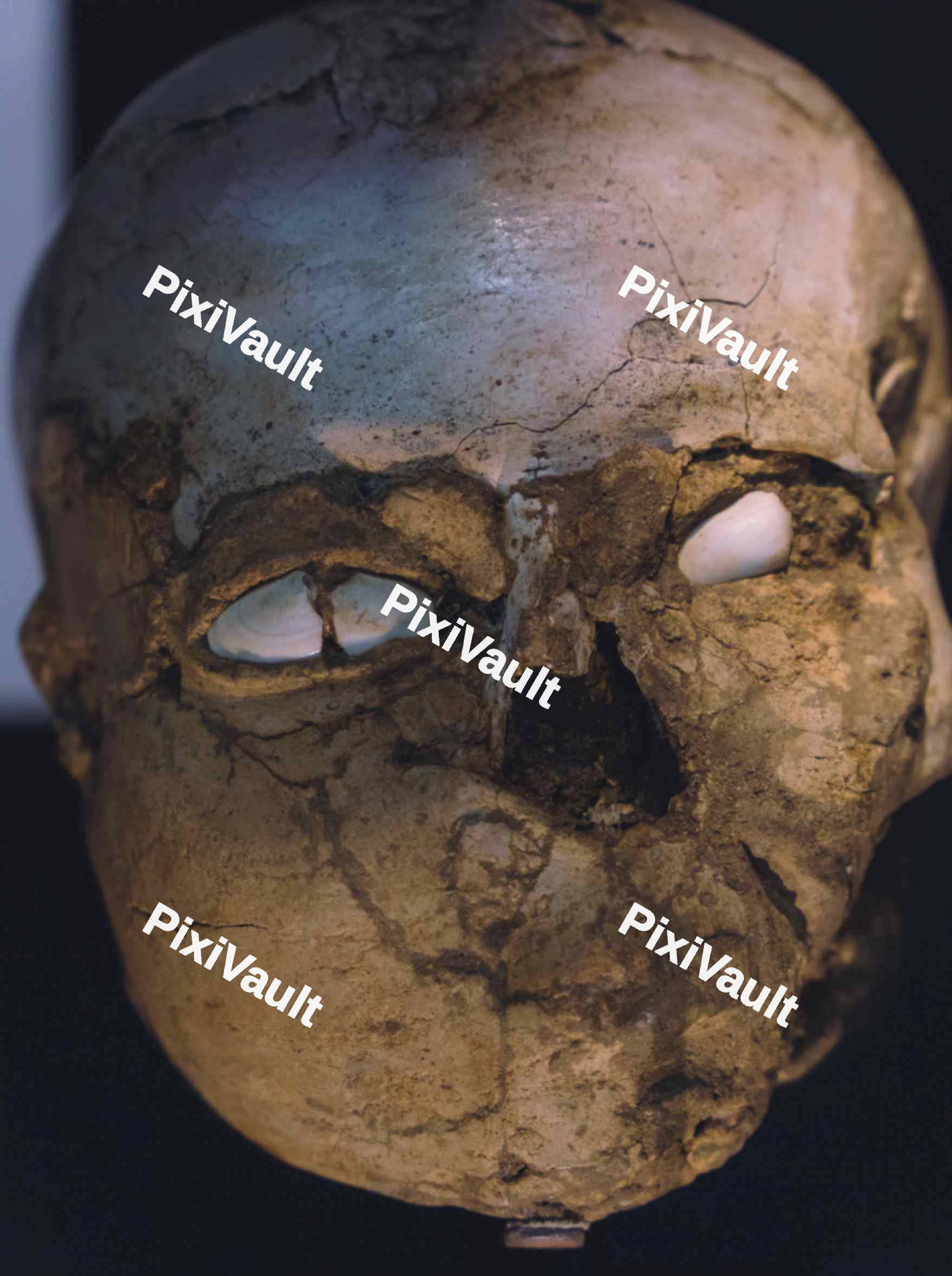 Deformed Skull